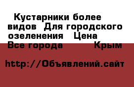 Кустарники более 100 видов. Для городского озеленения › Цена ­ 70 - Все города  »    . Крым